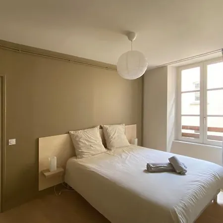 Centre-ville Historique Grenoble