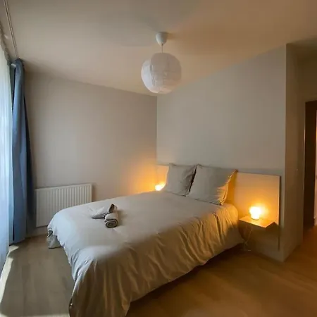 Daire Centre-ville Historique Grenoble