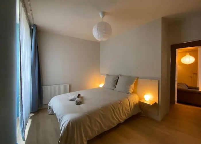 Appartement Centre-ville Historique Grenoble