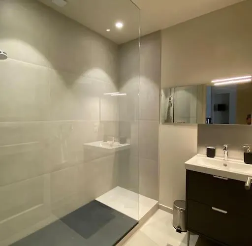 Centre-ville Historique Appartement Grenoble