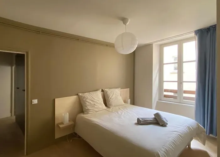 Centre-ville Historique غرونوبل